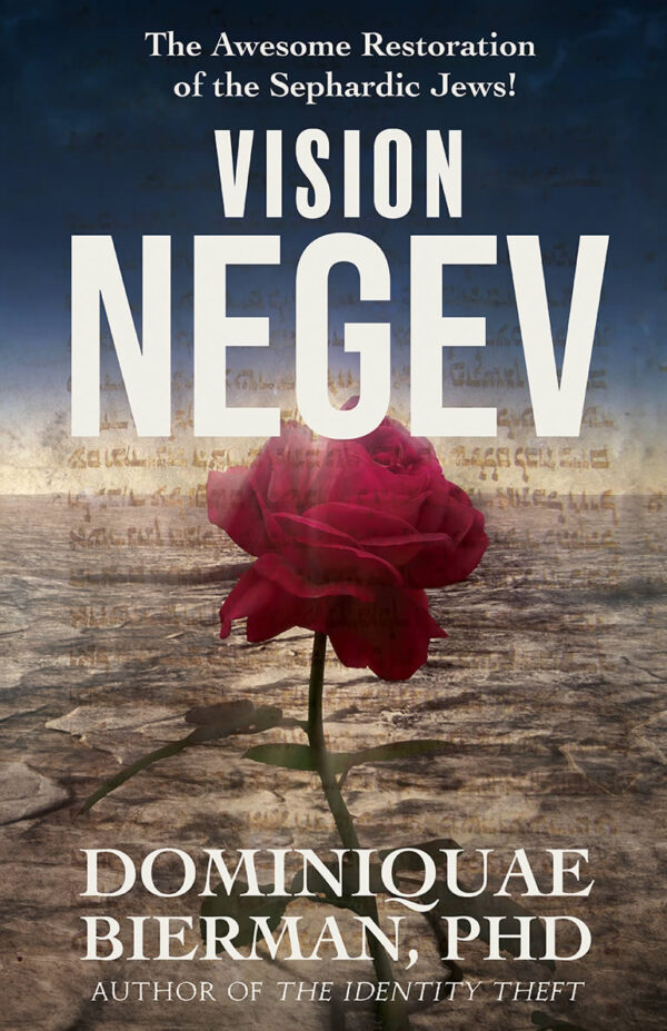 Vision Negev
