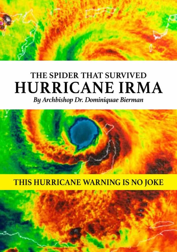 The Spider That Survived Hurricane Irma